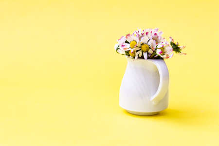 Beautiful daisy flowers in ceramic white vase on illuminating background from above
