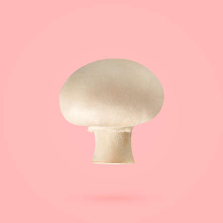 Commercial varieties of the common agaricus mushroomの写真素材