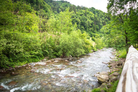 Mountain landscape with brook in middle of nature
