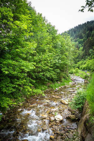 Mountain landscape with brook in middle of nature