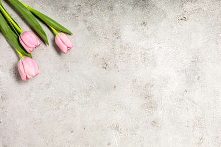 Fresh pink tulip flowers on ultimate gray wallの写真素材