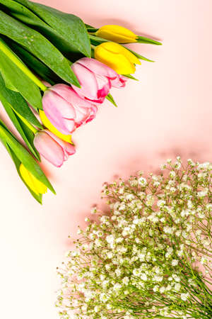 Fresh pink and yellow tulip flowers on on pastel pinkの写真素材