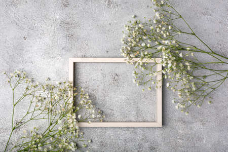 Creative banner with fresh white babys breath flowerの写真素材