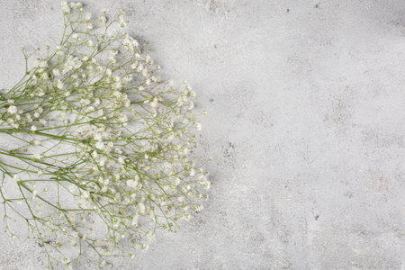 Creative banner with fresh white babys breath flowerの写真素材