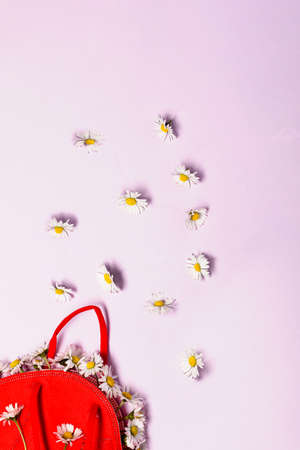 Creative minimal flat lay layer with KN95 mask for protectionの写真素材