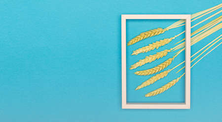 Bunch of wheat ears on pastel blue in flat layの写真素材