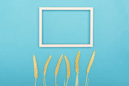 Wheat ear stalks in bottle against light blue. Minimalist home interior design decoration concept. Top view. Copy space.の写真素材