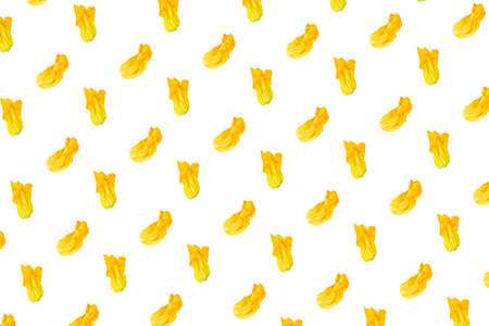 Zucchini flowers on a white background