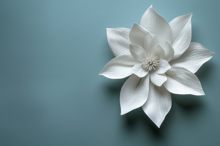 A detailed white snowflake placed on a beige background, symbolizing winter, Christmas, and holiday decoration in a minimal and elegant style.の素材