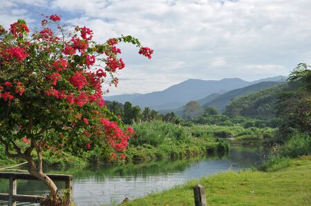 Country Mountain Lake 