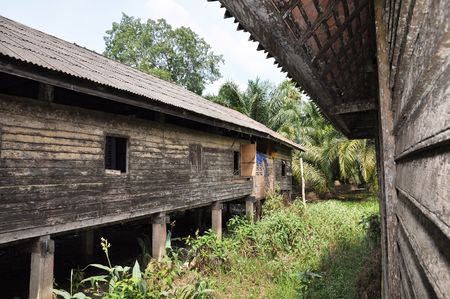 Spill Wood Old Hallの写真素材