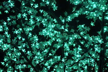 Green Light Color Tentacleの写真素材