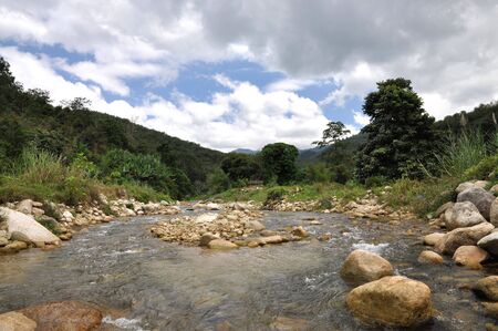 Stream Creek Forest Stone Mountainの写真素材