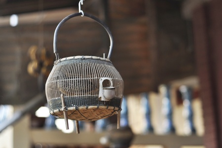 Francolin Bird Hang Thailand Wood Birdcageの写真素材
