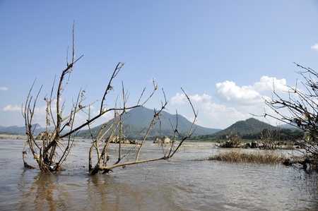 Nature Branch Dry River Thailand Outdoorの写真素材