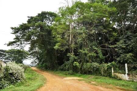 Country Native Local Village Thailand Viewの写真素材