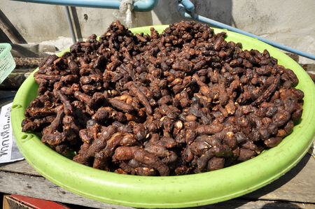 Tamarind Many Background Local Thailandの写真素材