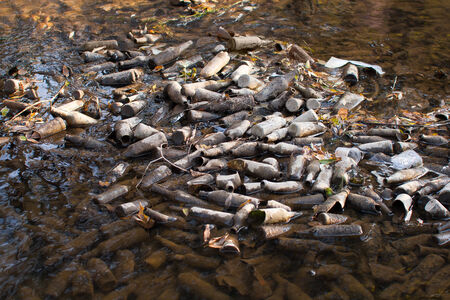 a lot of garbage in the waterの写真素材