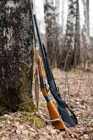 two guns, leaning against the treeの写真素材