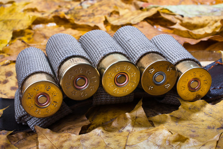 bandoleer on the autumn leavesの写真素材