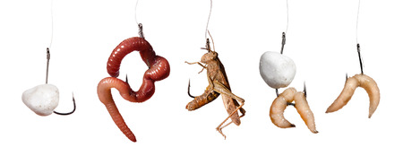 set of isolated fishing lure on the hook