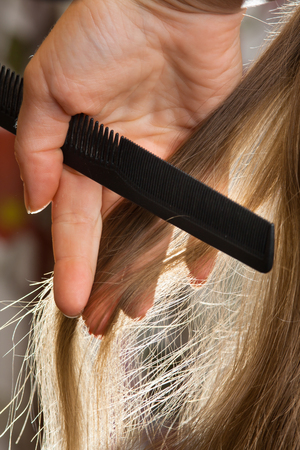 hand of hairdresser holding strand of hair and comb, closeupの写真素材