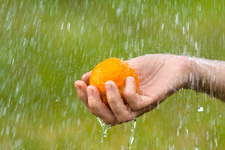 hands washing tangerine under flowing water on green backgroundの写真素材
