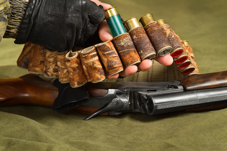 the hands of the huntsman fill his bandolier with ammunition for the shotgun, closeup
