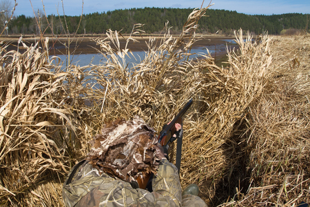 duck hunter aims a shotgun hiding in a blind of reeds on the shoreの写真素材