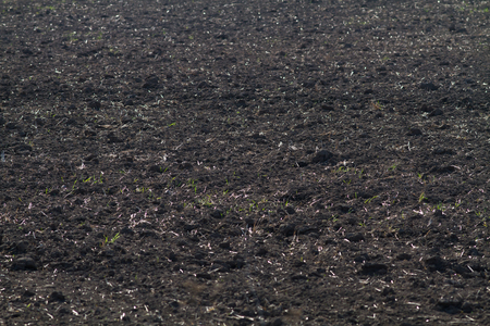 dark soil with lumps on a plowed field (selective focus)の写真素材