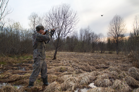 hunter aims a shotgun at a flying woodcock in the evening swampの写真素材