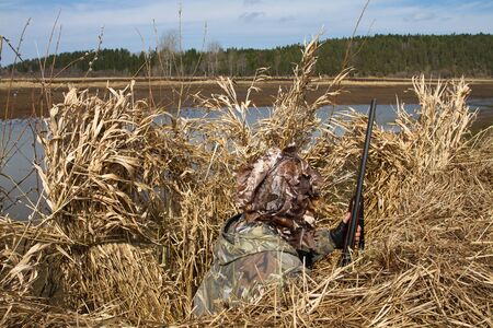 hunter hiding in a blind of reeds waiting for ducks on the lakeの写真素材