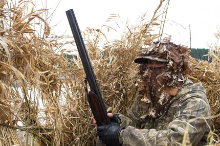 duck hunter with a shotgun waits for waterfowl in a hunting blind of reeds on the lakeの写真素材