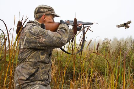 a hunter aims a shotgun at a flying duck among cattails on a foggy morningの写真素材