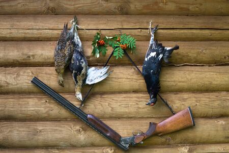 a hunting shotgun and three downed grouses hanging on the wall of a log houseの写真素材