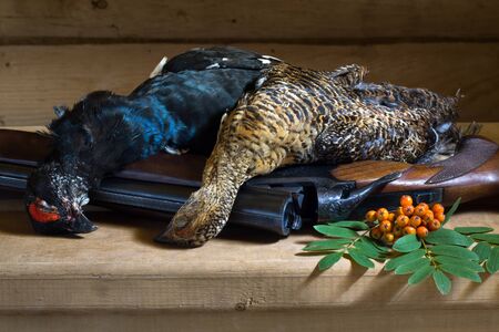 hunting trophies (blackcock and hen) and Rowan berries lie on a wooden table on top of a shotgunの写真素材