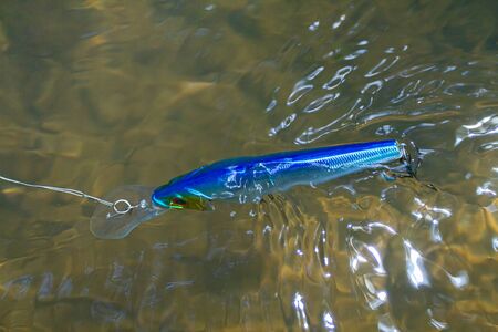 blue minnow wobbler floats on the surface of the water while fishingの写真素材