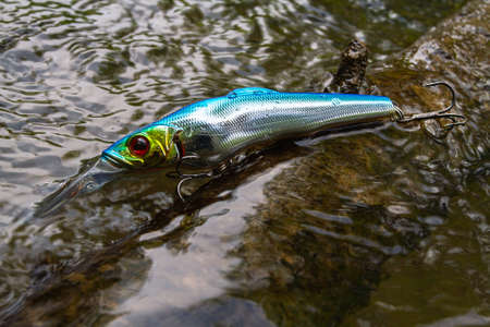 a silver wobbler lies on an old overgrown snag in the riverの写真素材