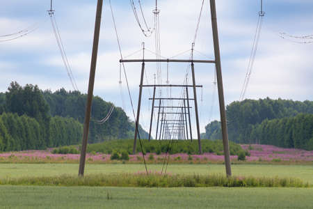 the power line runs through fields and forestsの写真素材