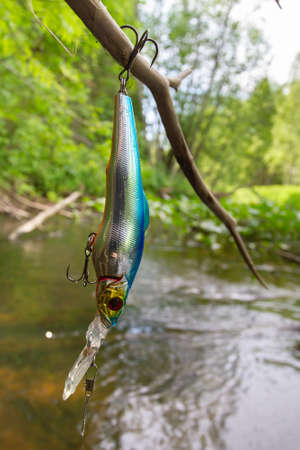 blue minnow wobbler caught on a dry branch of a bush near the riverの写真素材