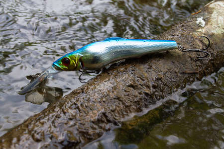 a shiny wobbler lies on an old sunken snag in the riverの写真素材