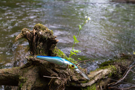 blue minnow wobbler caught on an old overgrown snag that sank in the riverの写真素材