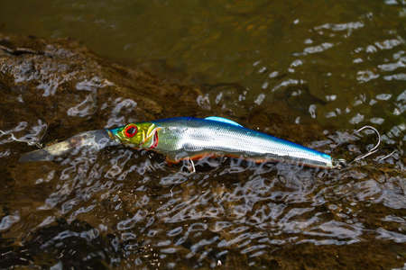 a silvery blue wobbler caught on an old dark snag near the surface of the water while fishingの写真素材