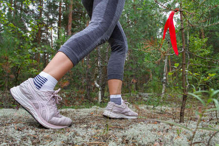 the legs of a runner who runs past a route marker in a pine forestの写真素材