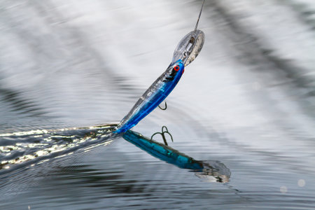 A blue wobbler attached to a fishing line rises above the surface of the water. You can see his...