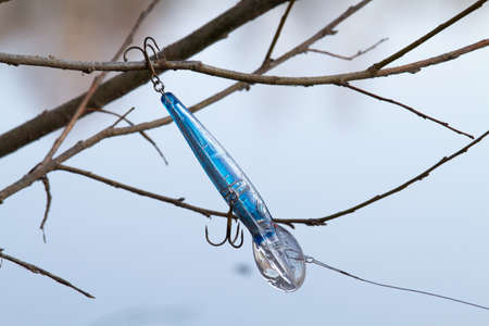 Fisherman have made the throw of the wobbler and missed. Spinning bait (blue minnow wobbler) hangs on a bush branch. Behind the bushes, you can see the bright surface of the river.の写真素材