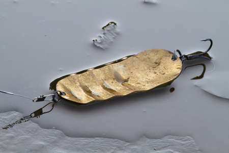 Spinning lure (bronze spoon) lies on the river ice. Water spilled over the ice. Spinning fishing takes place in late autumn, in cold weather.の写真素材