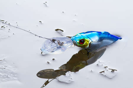 a spinning lure (blue minnow wobbler) lies on the edge of young wet ice in the riverの写真素材