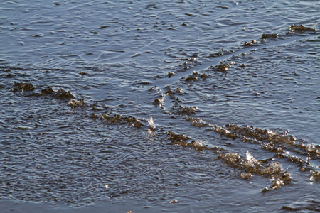 The thin ice sheet split into many small ice floes. Three ice floes have come together and are rubbing against each other. Close-up.の写真素材