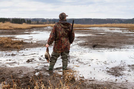 A duck hunter stands on a muddy bank and holds a downed duck (mallard drake) in his hand. He has a shotgun slung over his shoulder.の写真素材